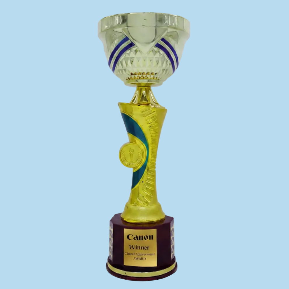 Trophy with a colorful design on a black base, featuring the brand 'Canon'.